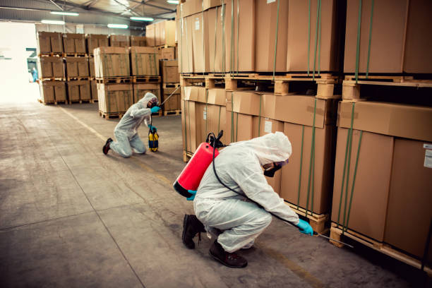 Best Pest Control Near Me  in Clinton, KY