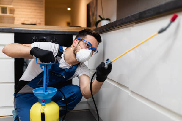 Best Affordable Pest Control Services  in Clinton, KY
