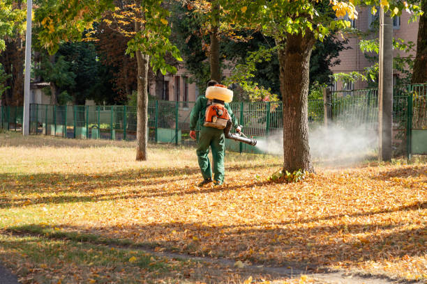 Best Pest Removal Services  in Clinton, KY